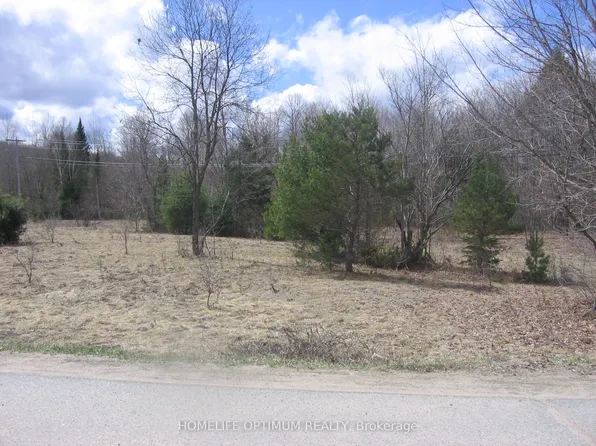 Norley Dr, Algonquin Highlands, ON K0M 1S0