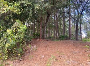 56 Wood Cedar Dr, Palm Coast, FL 32164