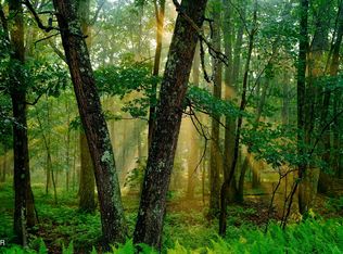 106 Lillypad Ln, Hawley, PA 18428