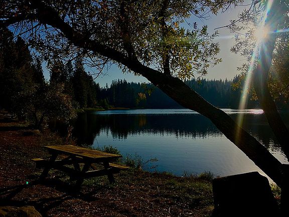 White Pines Lake - Arnold