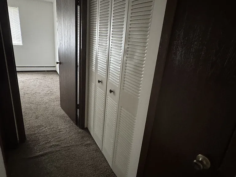 Linen closet and large hallway closet