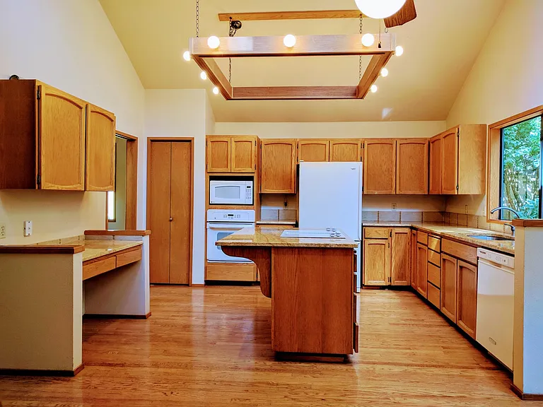 Oversized kitchen with greenery view and 360 degree lighting.