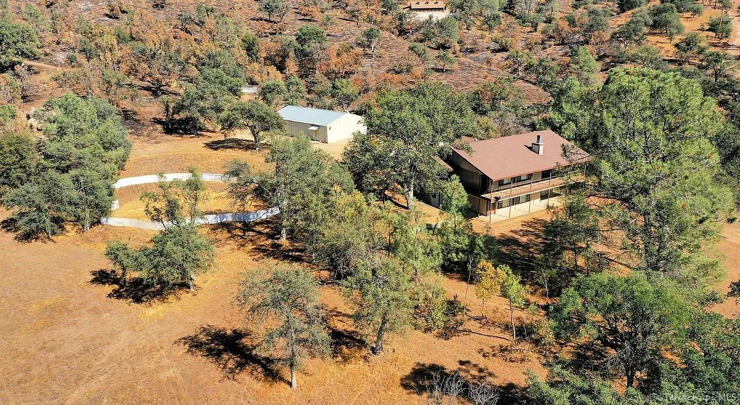 42706 Indian Oak Loop photo 1