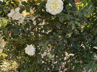 1651 Longview St, San Jose, CA 95122