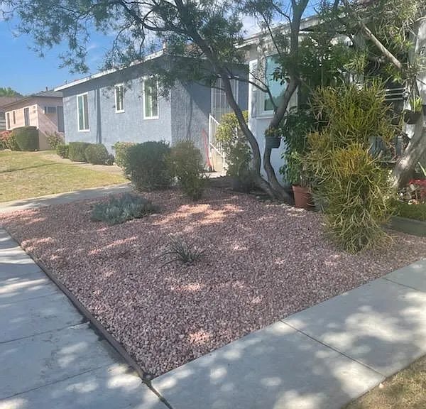 Beautiful drought-tolerant landscaping