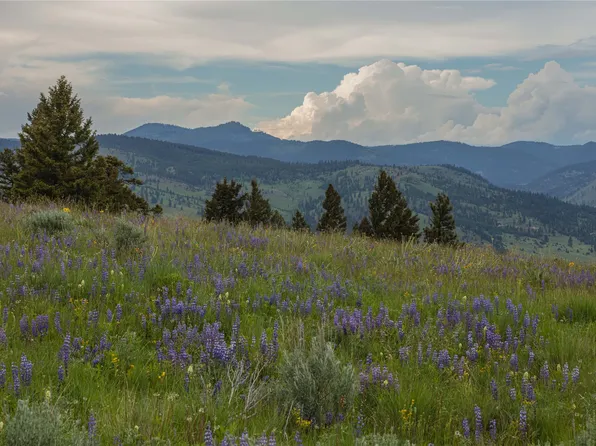 3 Tract Bull Gln, Drummond, MT 59832