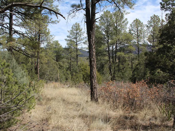 47 Chresta Loma Dr, Timberon, NM 88350