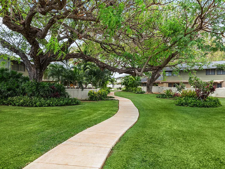 walking path