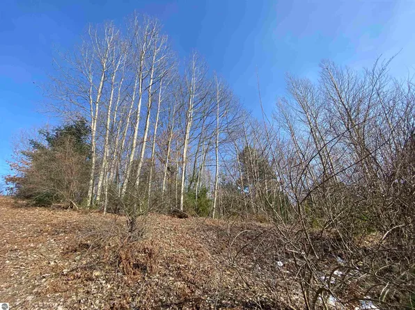 LOT 34 Scenic Hills Dr, Williamsburg, MI 49690