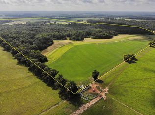 Goose Hollow Rd, Geneva, AL 36340