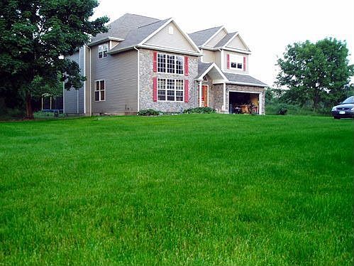 Front Lawn