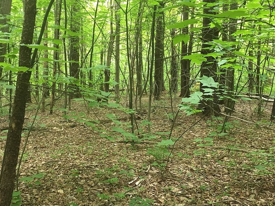 1 Ford Hill Rd, Rowe, MA 01367 Zillow