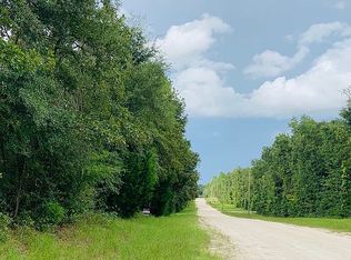 25 Ichetucnkee Frst SW, Fort White, FL 32038