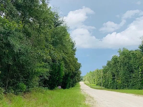 25 Ichetucnkee Frst SW, Fort White, FL 32038