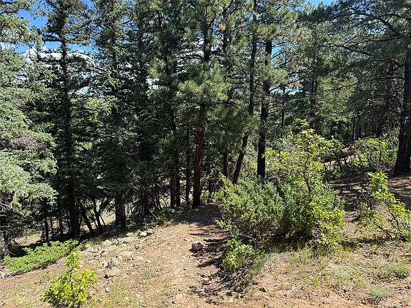 3rd image of 160 Indian Paint Brush Rd