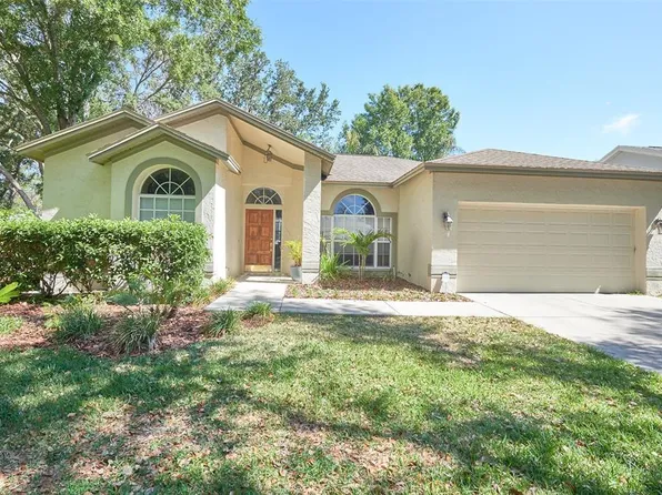 9302 Heritage Oak Ct, Tampa, FL 33647