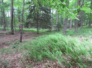 Tamarack Dr #4, Old Forge, NY 13420
