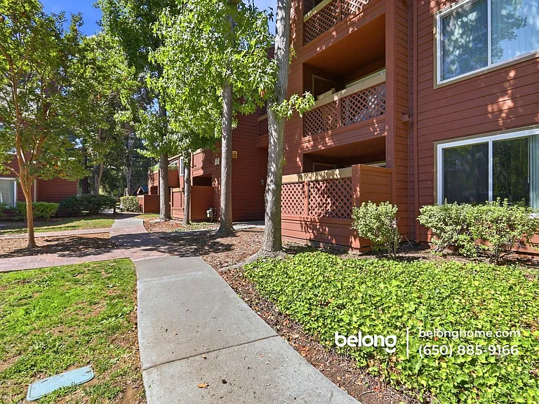 894 Catkin Ct — Photo 22