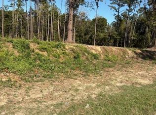 24087 State Highway 22, Maurepas, LA 70449