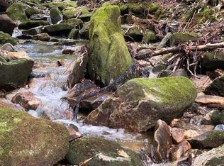 619 Speckled Feather Pass, Sapphire, NC 28774