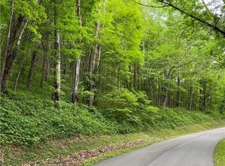 65 Tynecastle Dr, Banner Elk, NC 28604