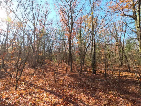 V/l Woodland Park Lots 5 To #9, Bitely, MI 49309