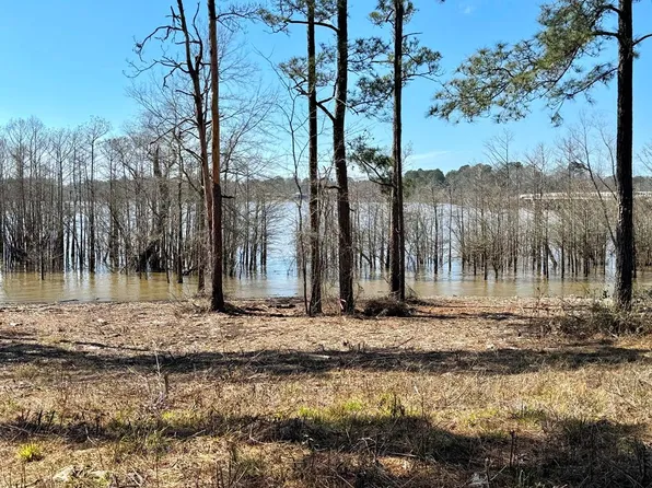 LOT 4 Fm 83, Broaddus, TX 75929
