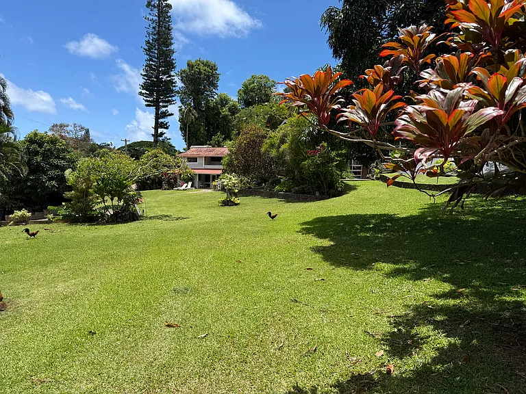 4388 Kanaele Rd #2 — Photo 3