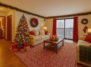 78 10th St E UNIT 806, Saint Paul, MN 55101