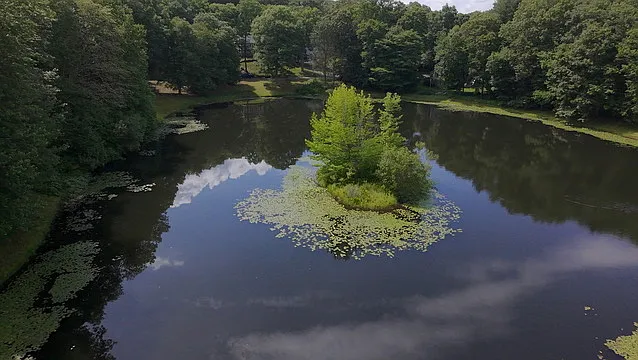 neighborhood pond