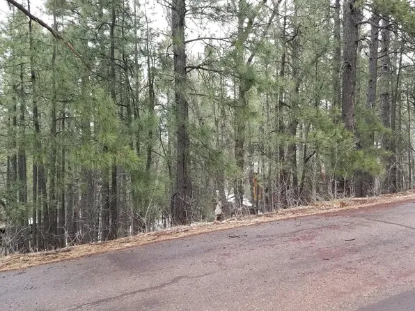 6166 Paradise Pine Ln, Pinetop, AZ 85935