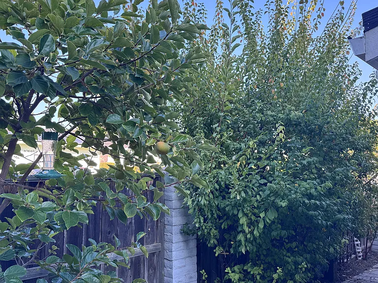 1001 Casa Marcia Pl — Photo 5
