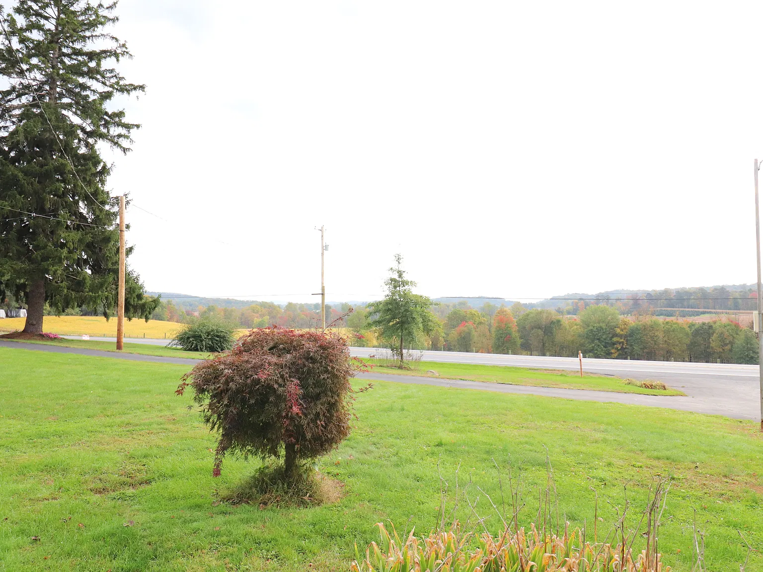 3 bed, $1,425 — Photo 4