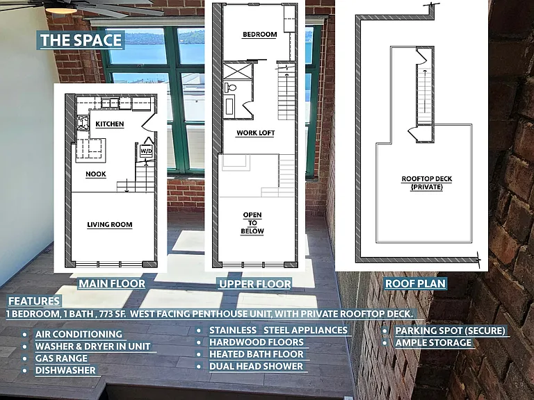 Space Layout and Features