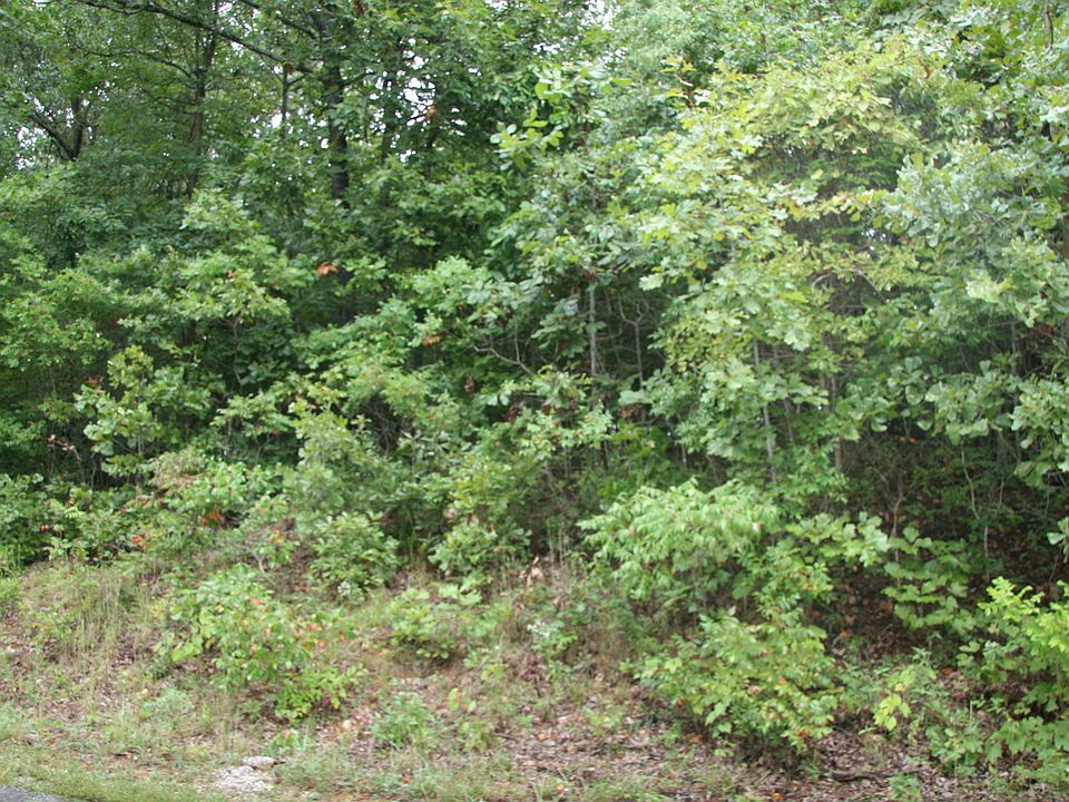 2nd image of Lacy Ln