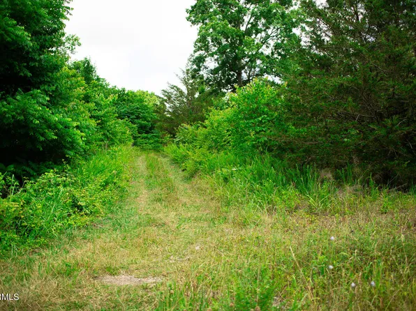 8513 E Emory Rd, Corryton, TN 37721