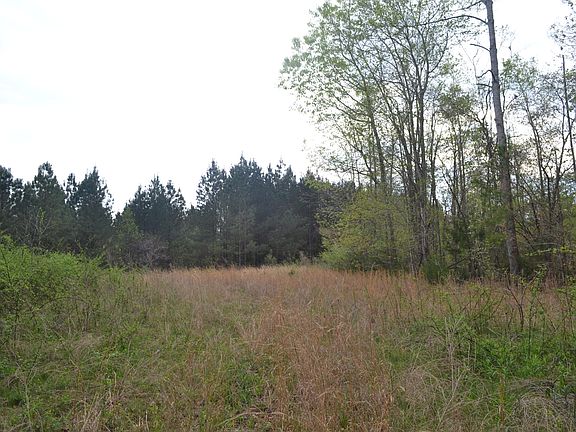 2nd image of State Highway 68 E