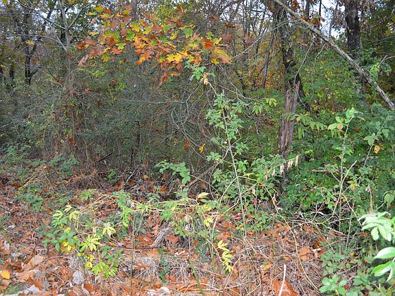 3rd image of 3 Hickory Hills Dr NE Lot 3