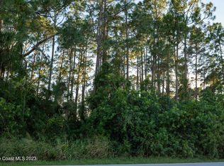 1296 Hegira St NW, Palm Bay, FL 32907