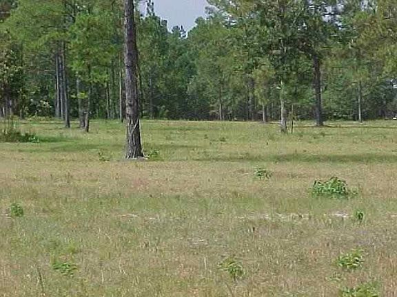 3rd image of TBD Youngs Road LOT 4