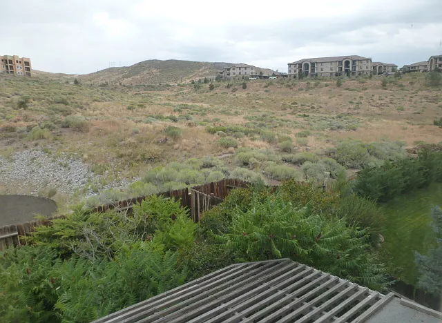 3221 Green River Dr — Photo 8