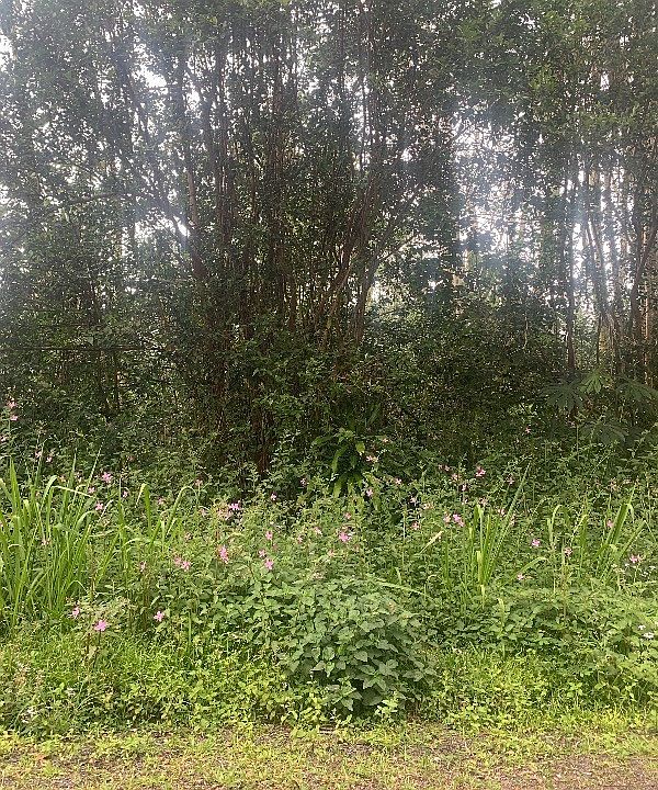 2nd image of 18th Avenue Maia Lot 120
