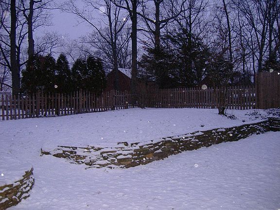 Lovely back yard.