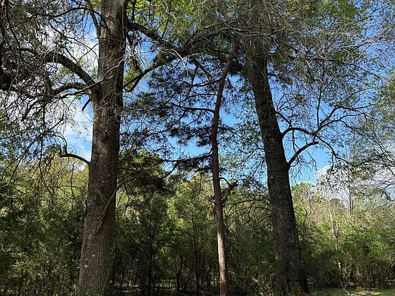 4th image of 946 Happy Land Rd