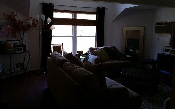 Living room with a large windows to the back yard