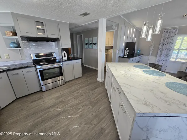 9259 Salvini Dr, Brooksville, FL 34613