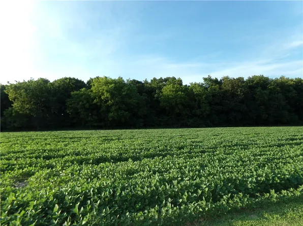 10 Deer Lake Est, Findlay, IL 62534