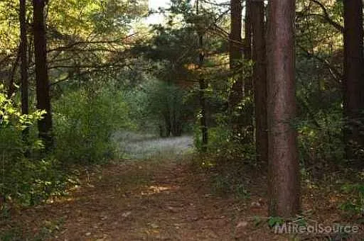 2473 N Mitchell Lake Rd photo 1