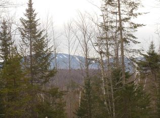 S Lake Rd SIDE GARNET, Johnsburg, NY 12843