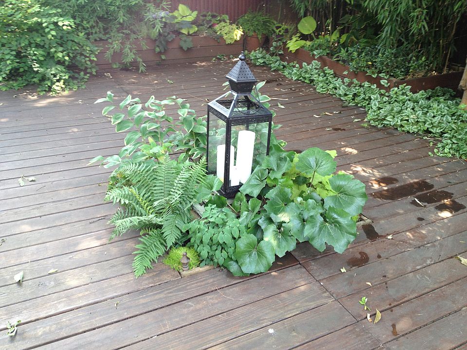 Backyard Deck/Garden